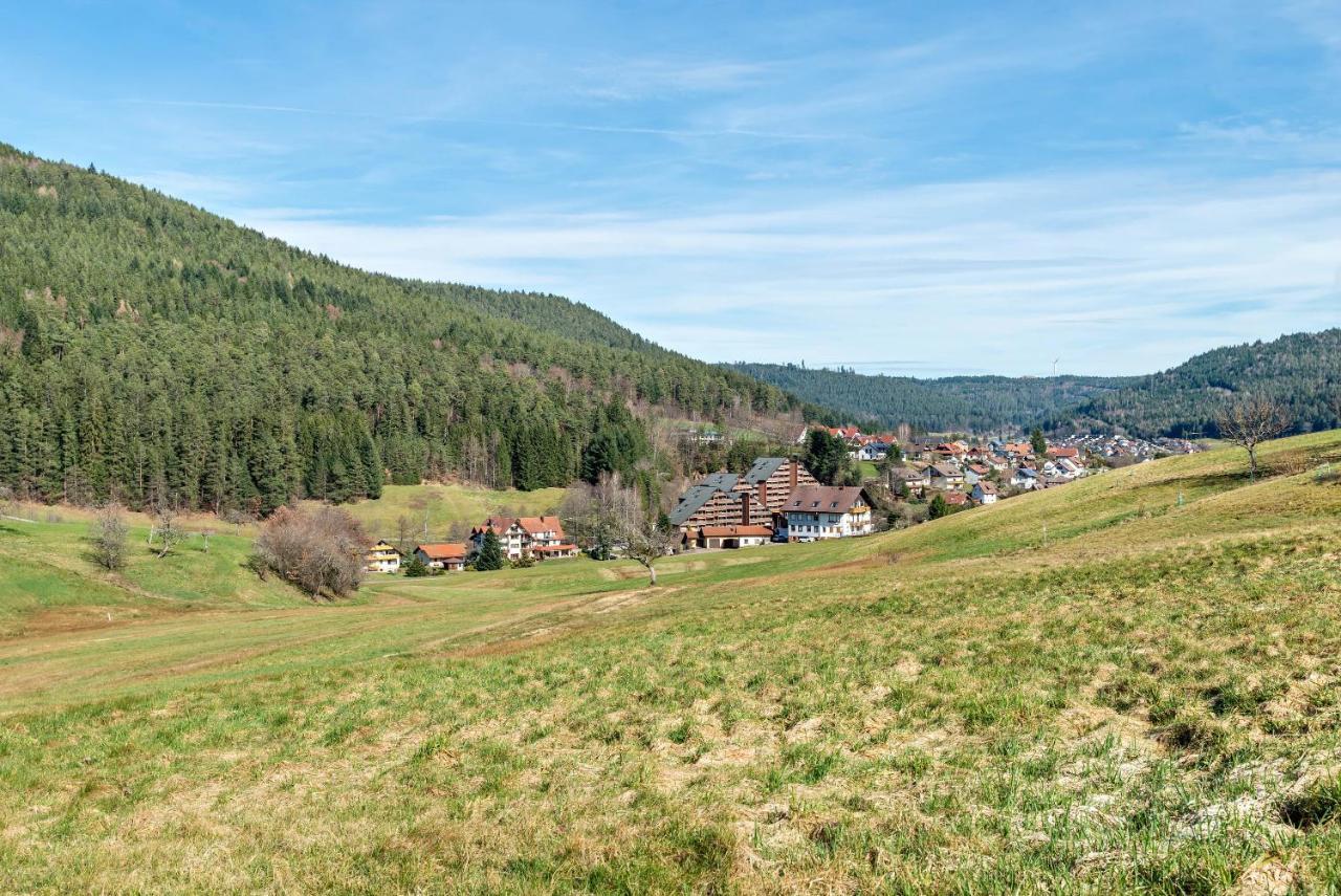 Schwarzwald Woelkchen Διαμέρισμα Baiersbronn Εξωτερικό φωτογραφία