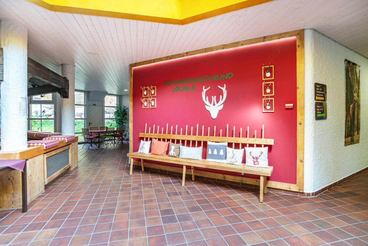 Schwarzwald Woelkchen Διαμέρισμα Baiersbronn Εξωτερικό φωτογραφία